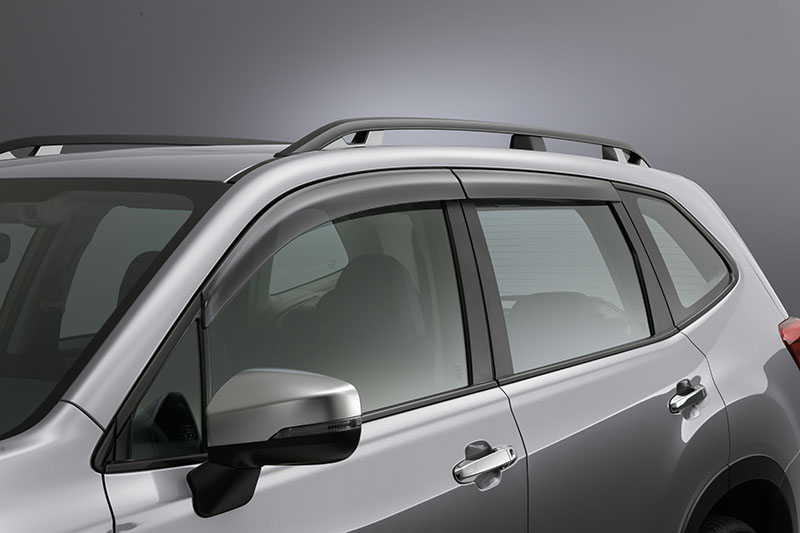 Door Visor Black